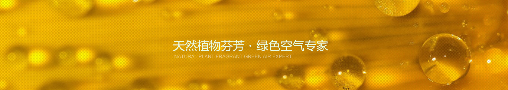 下载tokenpocket钱包