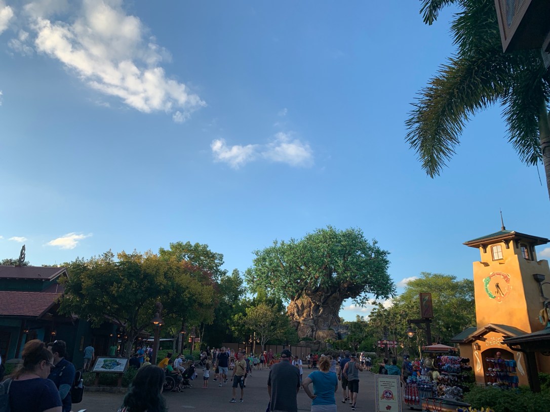 8nHDcK%wSe60XBtDrcuU5g